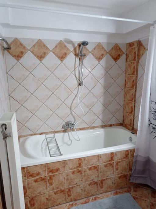 Trikala Alex House Apartman Kültér fotó