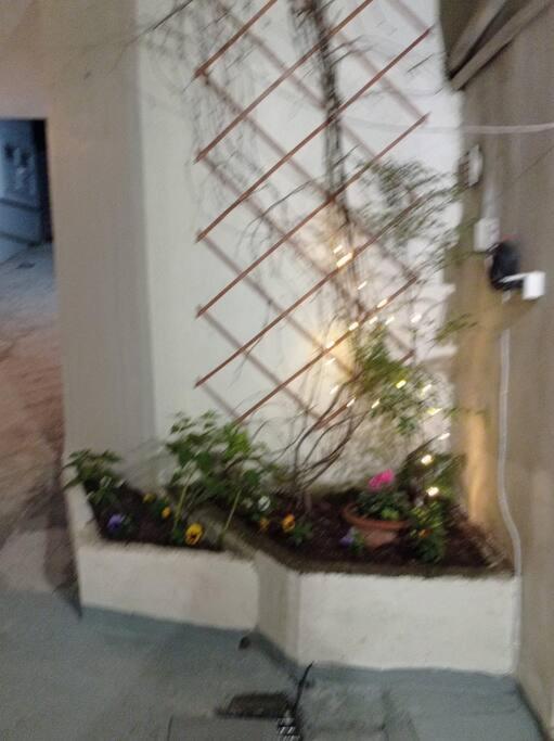 Trikala Alex House Apartman Kültér fotó